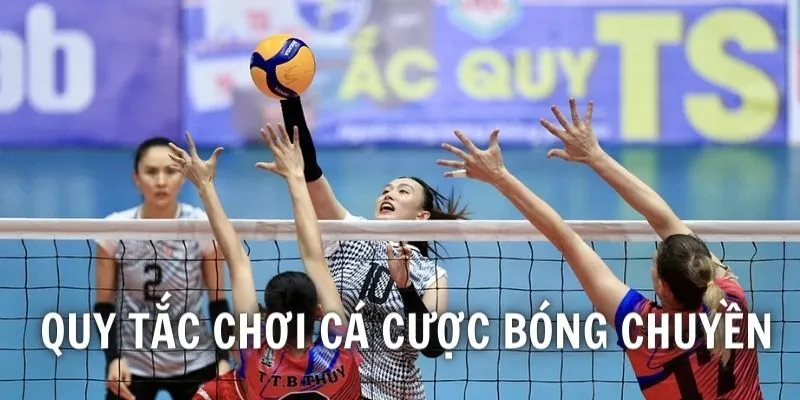 Quy tắc vào kèo bóng chuyền 